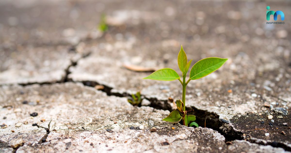 quotes-about-growth-courage-and-moving-forward Quotes About Growth, Courage, and Moving Forward